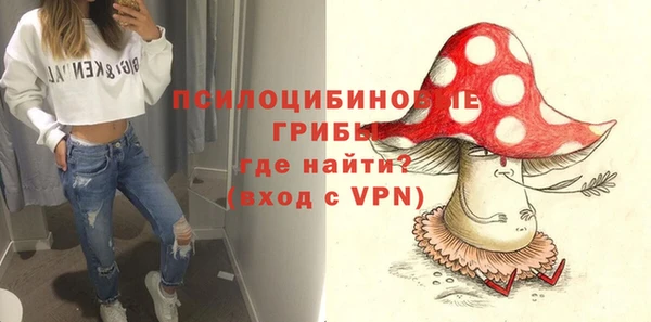 МДПВ Бугульма