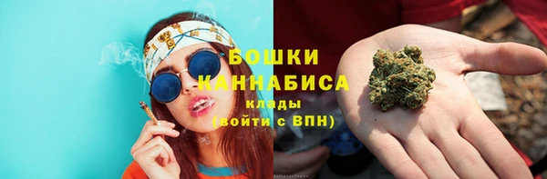 PSILOCYBIN Бронницы