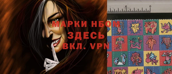 PSILOCYBIN Бронницы