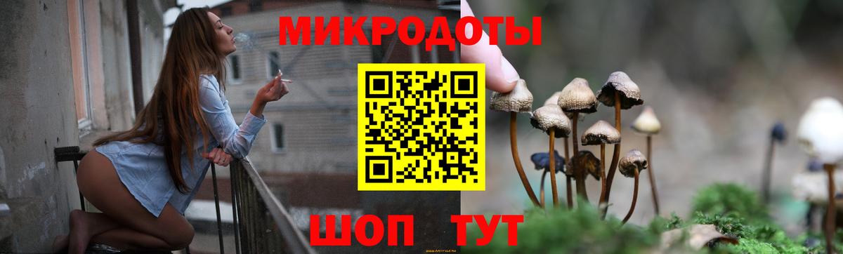 наркотики  Вход с VPN  Бутурлиновка  Галлюциногенные грибы Cubensis 